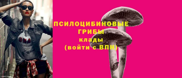 МДПВ Михайловск
