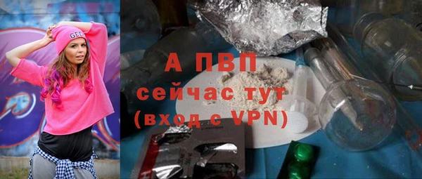 соль ск Надым