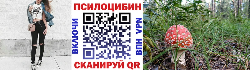 закладки Новоаннинский Псилоцибиновые грибы Psilocybine cubensis